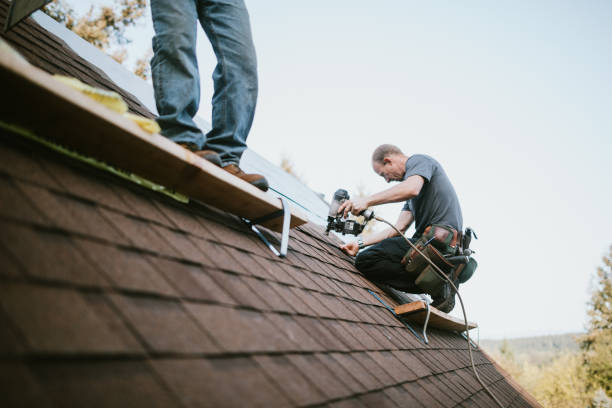 Best Roof Leak Repair  in Towanda, KS